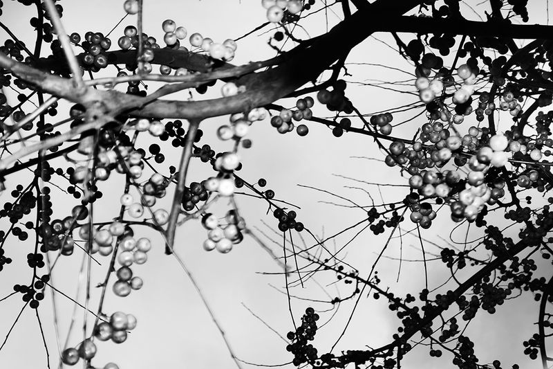 © Sara Zanella - Image from the The Way Home, Russia photography project