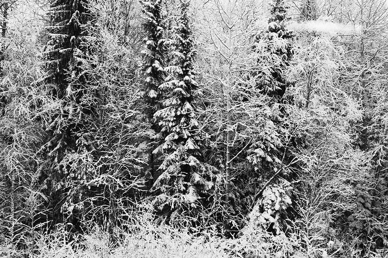 © Sara Zanella - Image from the The Way Home, Russia photography project