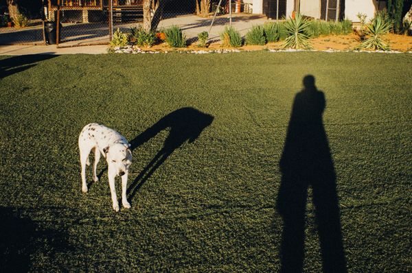 © Agostina Cerullo - Image from the The Places We Inhabit photography project