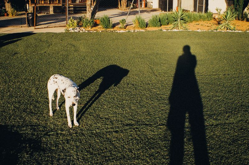 © Agostina Cerullo - Image from the The Places We Inhabit photography project