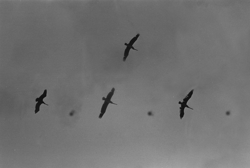 © Agostina Cerullo - Image from the The Places We Inhabit photography project