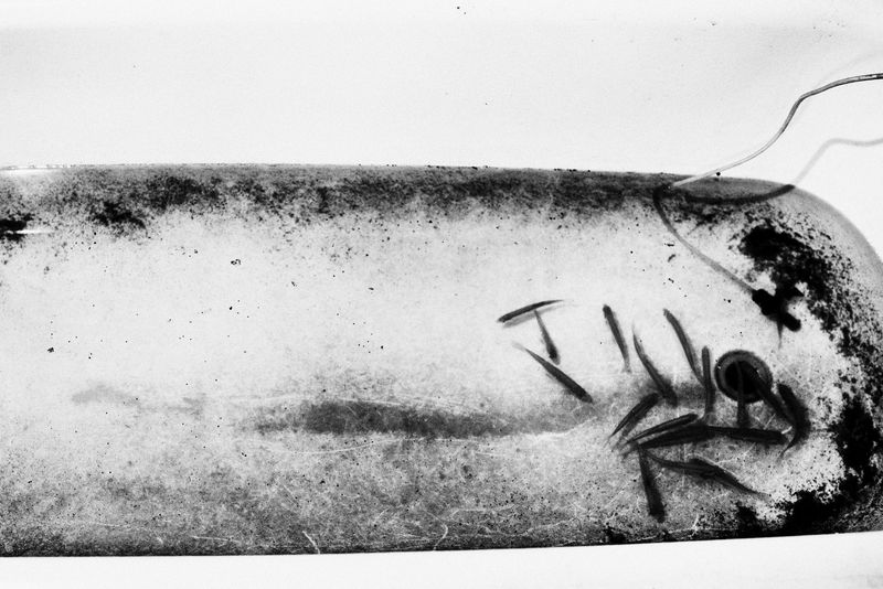 © Blagovesta Semkova - Image from the SON. Becoming Visible photography project