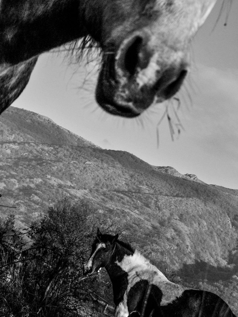 © Blagovesta Semkova - Image from the SON. Becoming Visible photography project