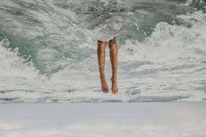 SON. Becoming Visible