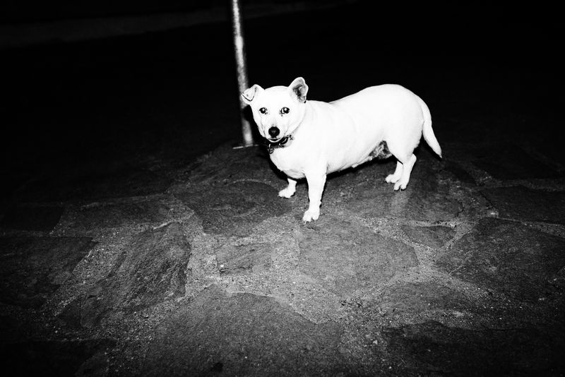 © Blagovesta Semkova - Image from the "SON" photography project