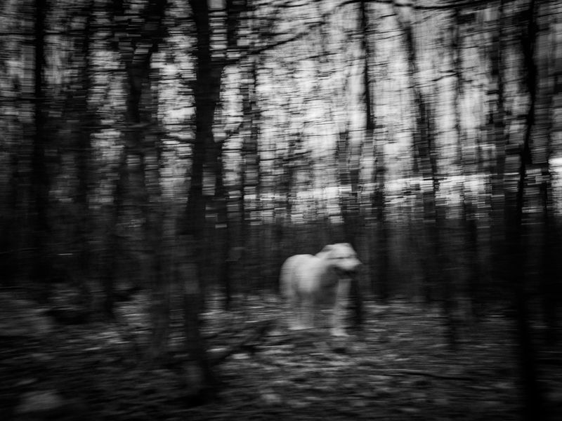 © Blagovesta Semkova - Image from the "SON" photography project