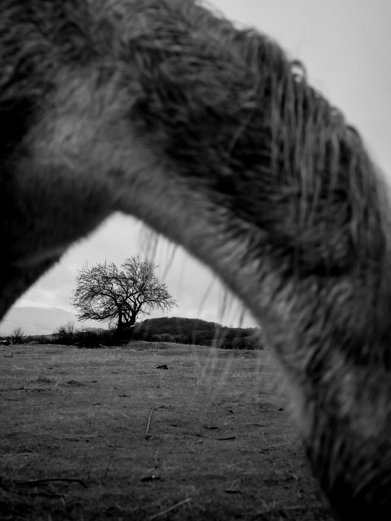 © Blagovesta Semkova - Image from the "SON" photography project