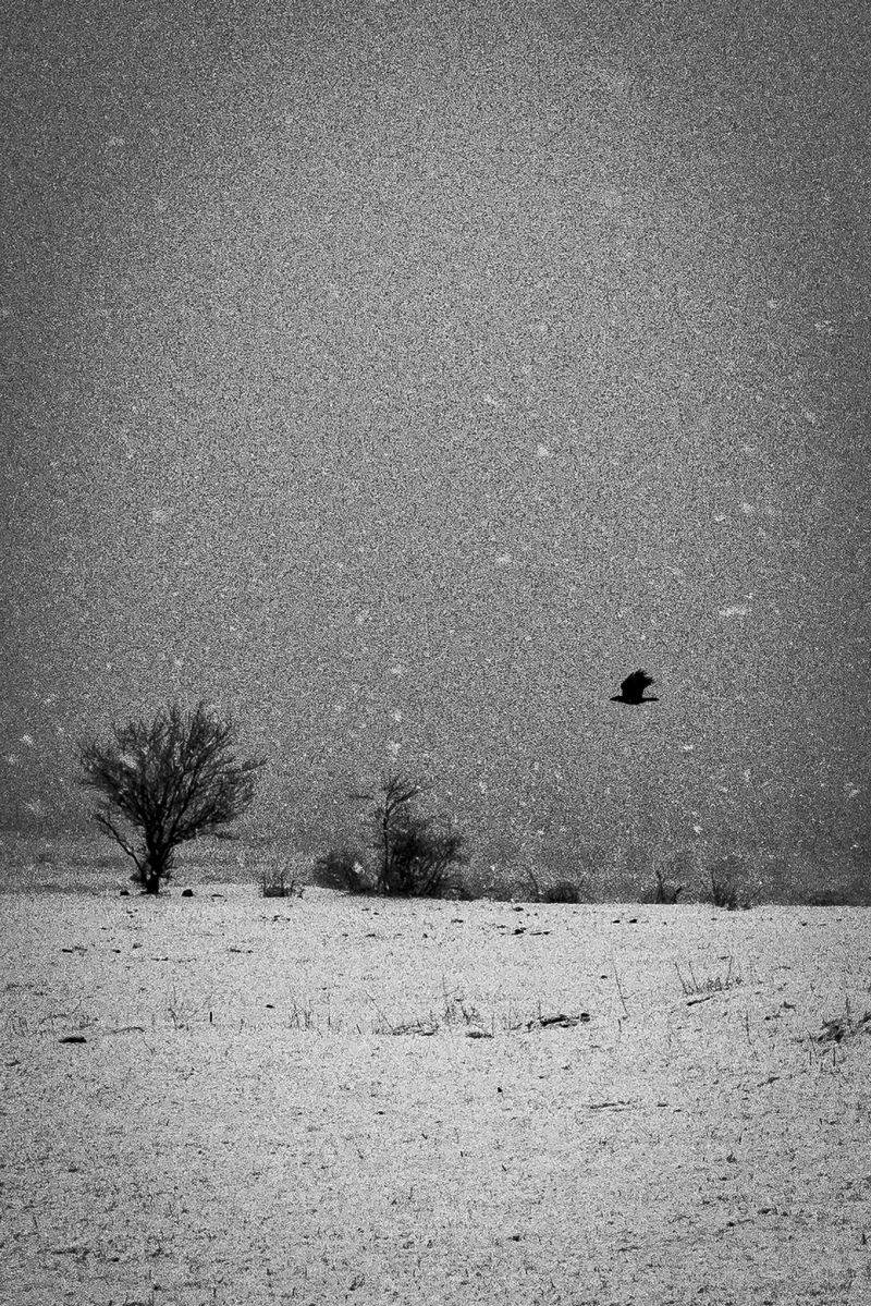 © Blagovesta Semkova - Image from the "SON" photography project