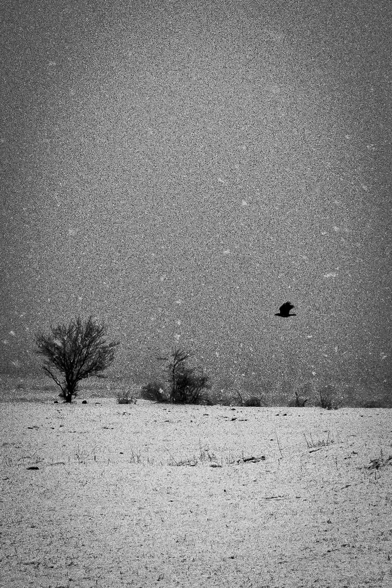 © Blagovesta Semkova - Image from the SON photography project