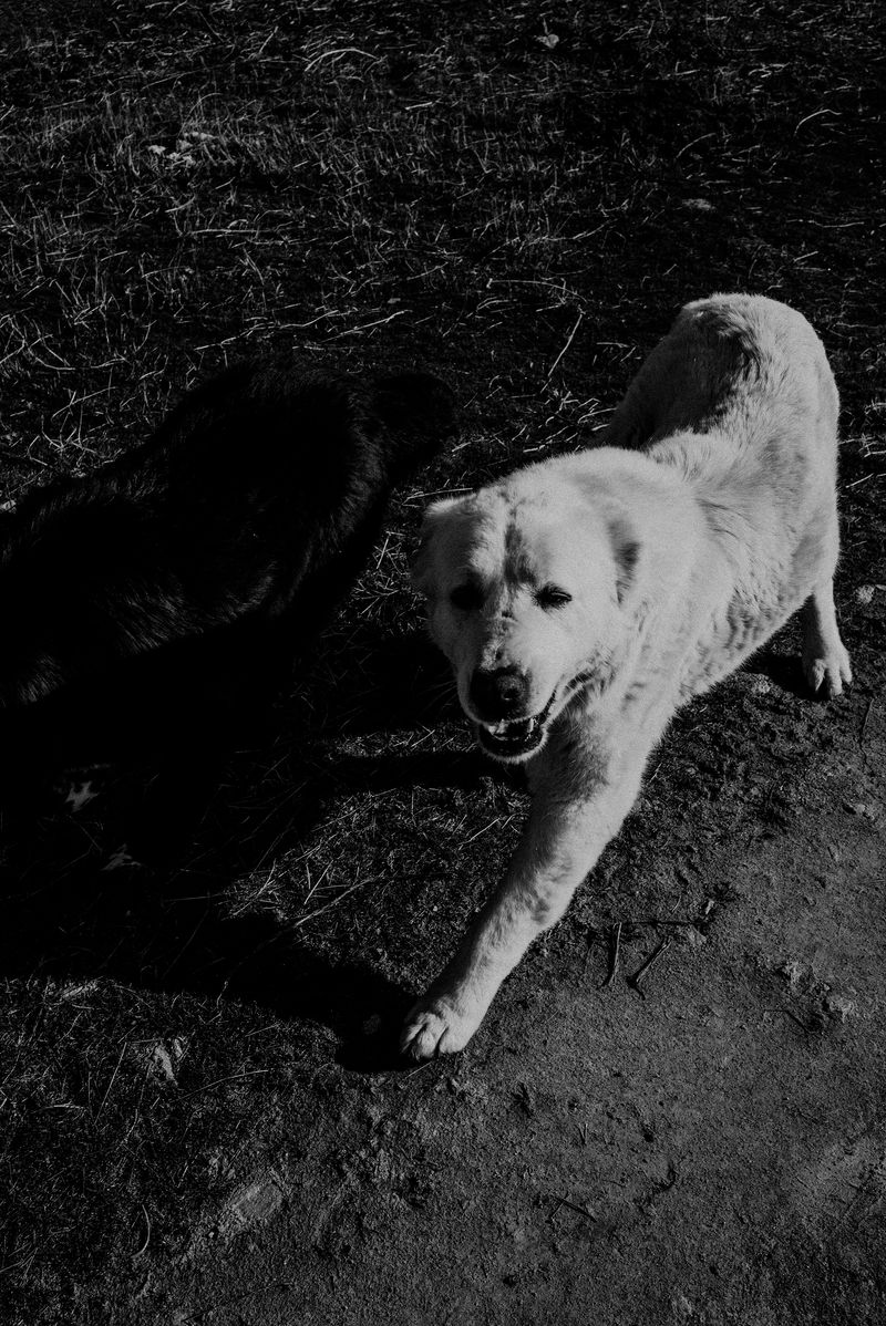 © Blagovesta Semkova - Image from the SON photography project