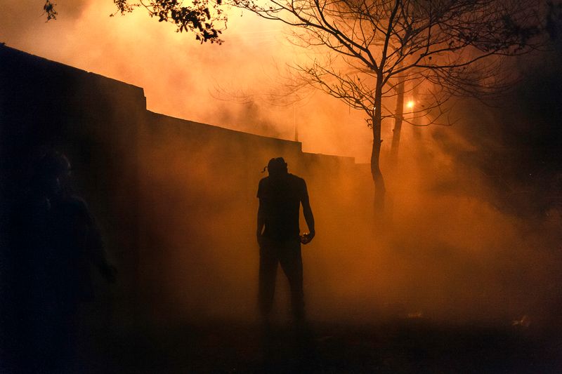 © Adriana  Loureiro Fernandez  - Image from the Paradise lost photography project