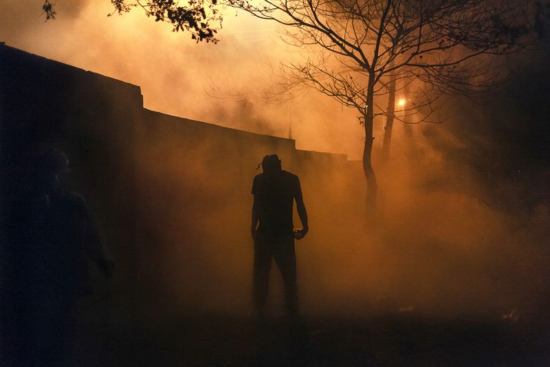 © Adriana  Loureiro Fernandez  - Image from the Paradise lost photography project
