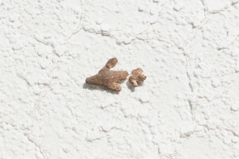 © River Claure - Image from the Warawar Wawa (Son of the Stars) photography project