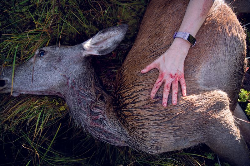 © Ingerid Jordal - Image from the She Hunts photography project