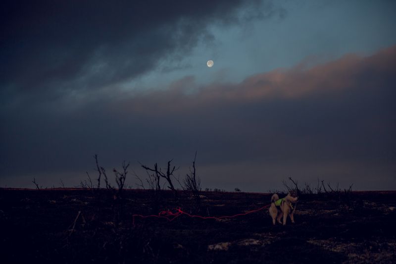 © Ingerid Jordal - Image from the She Hunts photography project