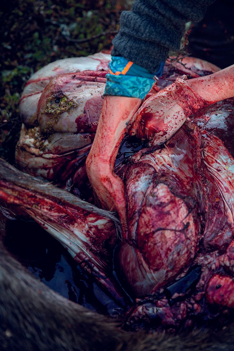 © Ingerid Jordal - Image from the She Hunts photography project