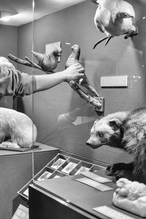 Messengers and Promises