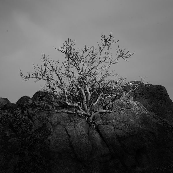 © Alexandra Riba - Image from the If this is the end of the world..I’d better hide here for tonight photography project