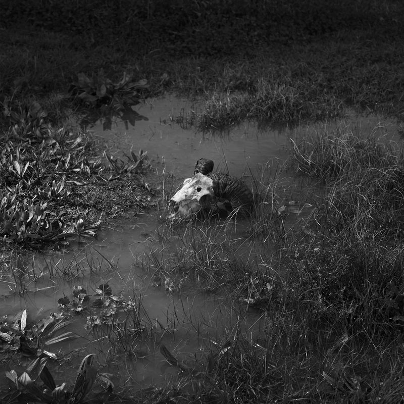 © Alexandra Riba - Image from the If this is the end of the world..I’d better hide here for tonight photography project