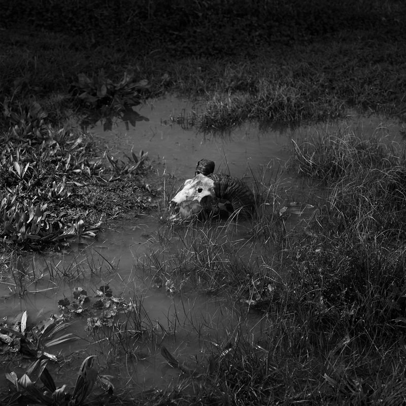 © Alexandra Riba - Image from the If this is the end of the world..I’d better hide here for tonight photography project