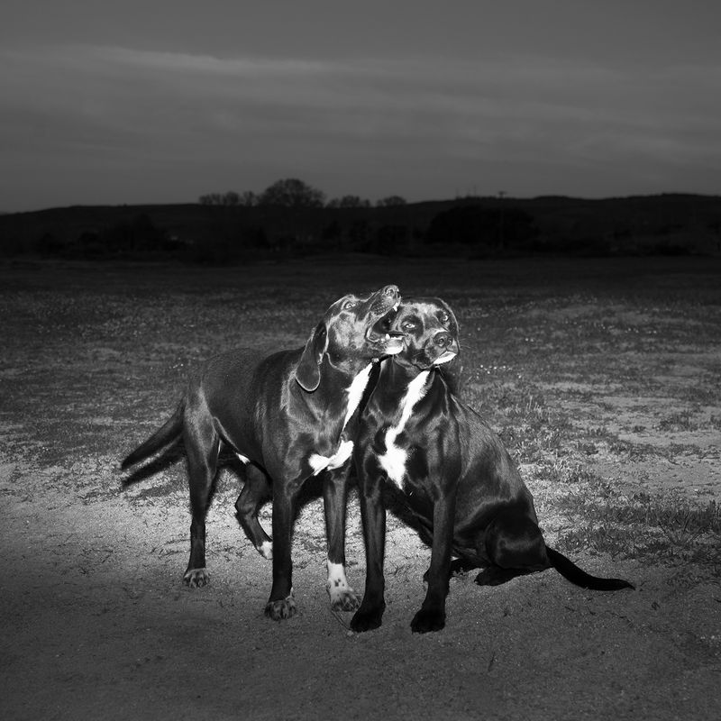 © Alexandra Riba - Image from the If this is the end of the world..I’d better hide here for tonight photography project