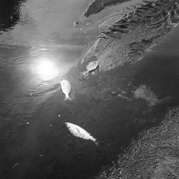 © Alexandra Riba - Image from the If this is the end of the world..I’d better hide here for tonight photography project