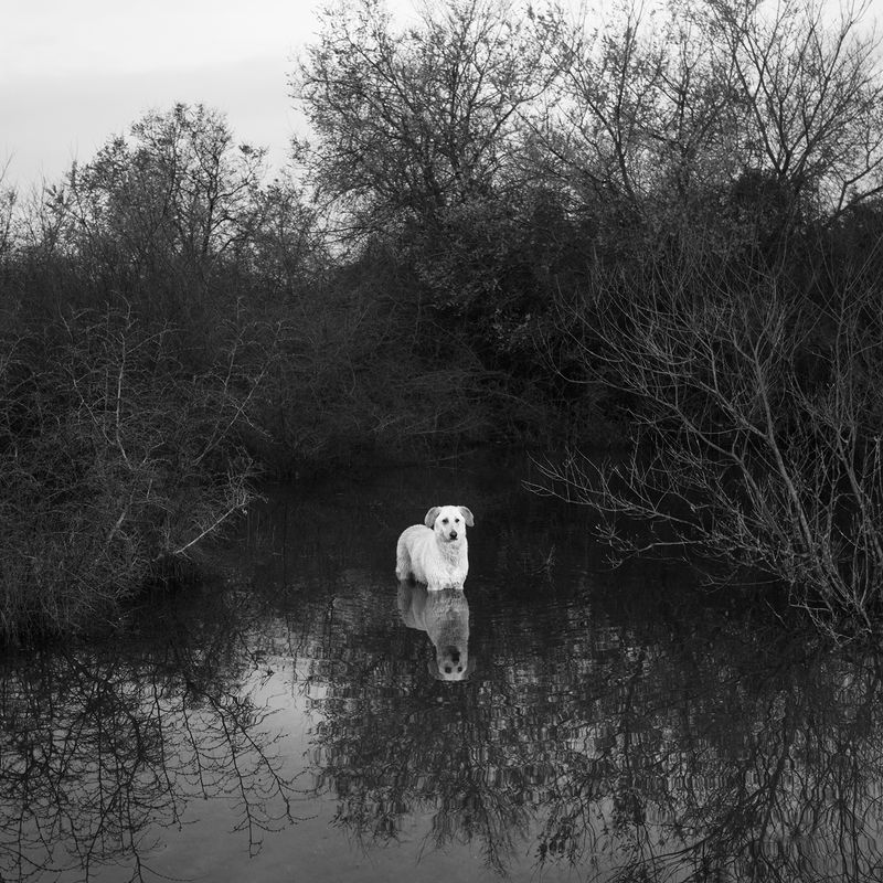 © Alexandra Riba - Image from the If this is the end of the world..I’d better hide here for tonight photography project