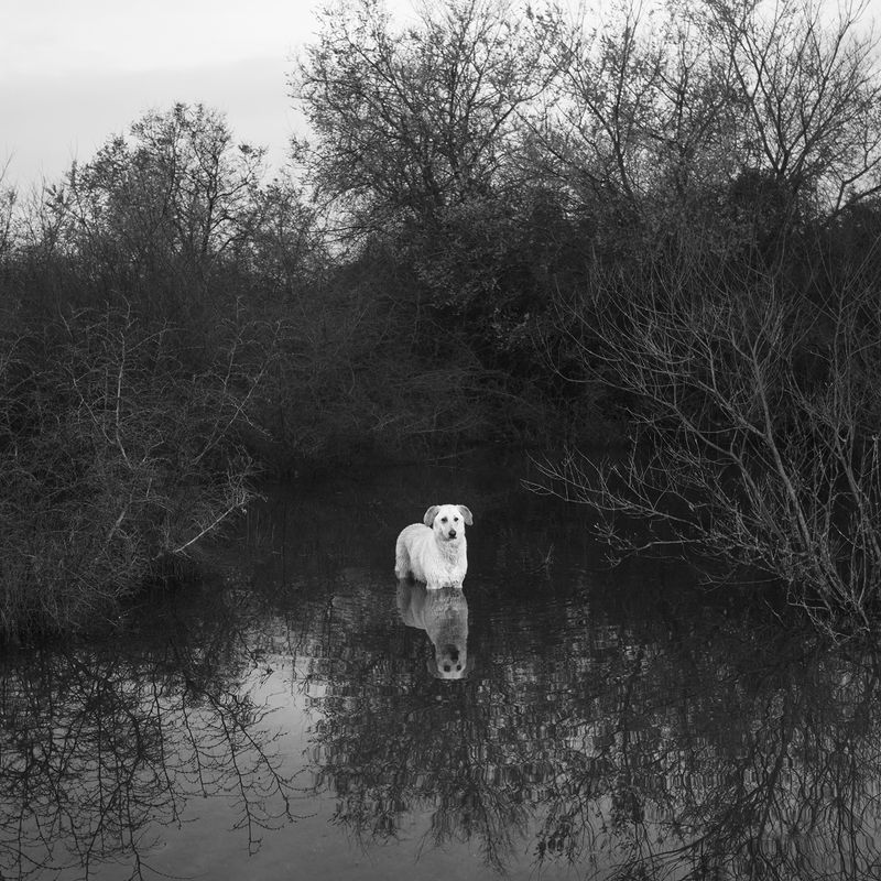 © Alexandra Riba - Image from the If this is the end of the world..I’d better hide here for tonight photography project