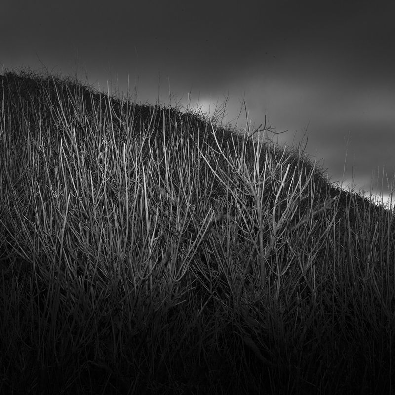 © Alexandra Riba - Image from the If this is the end of the world..I’d better hide here for tonight photography project