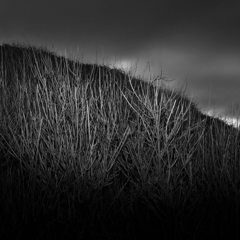 © Alexandra Riba - Image from the If this is the end of the world..I’d better hide here for tonight photography project