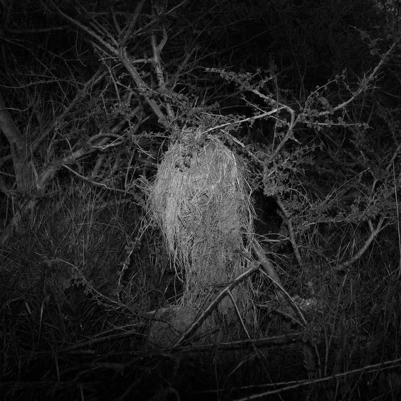 © Alexandra Riba - Image from the If this is the end of the world..I’d better hide here for tonight photography project