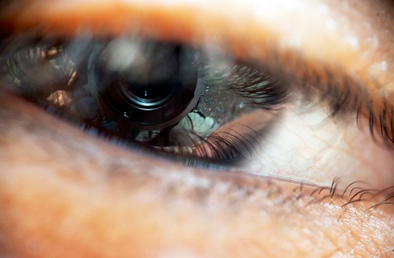 © Aslan Noorghasemi - Image from the Seeing The Nature in Macro photography project