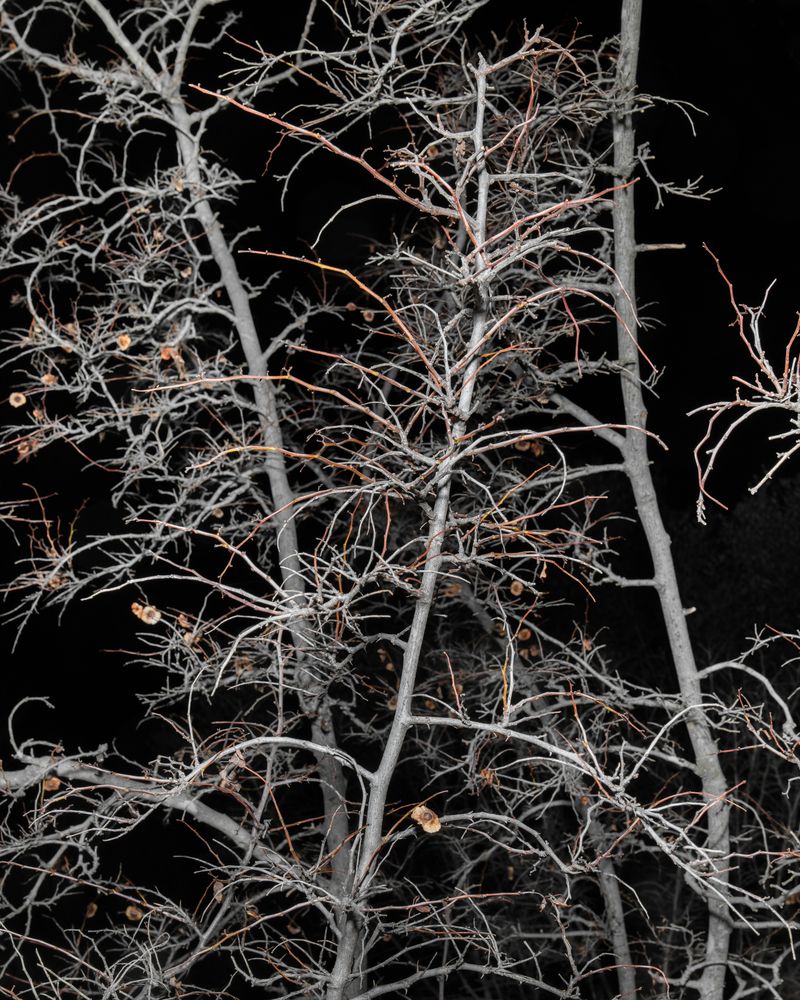 © Ivan Buvinić - Image from the ID_75 photography project