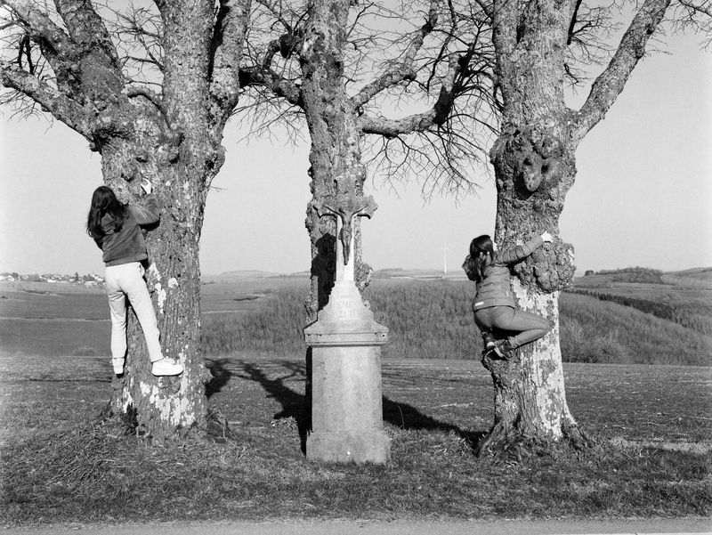 © Giulia Thinnes - My daughters climbing trees on a walk