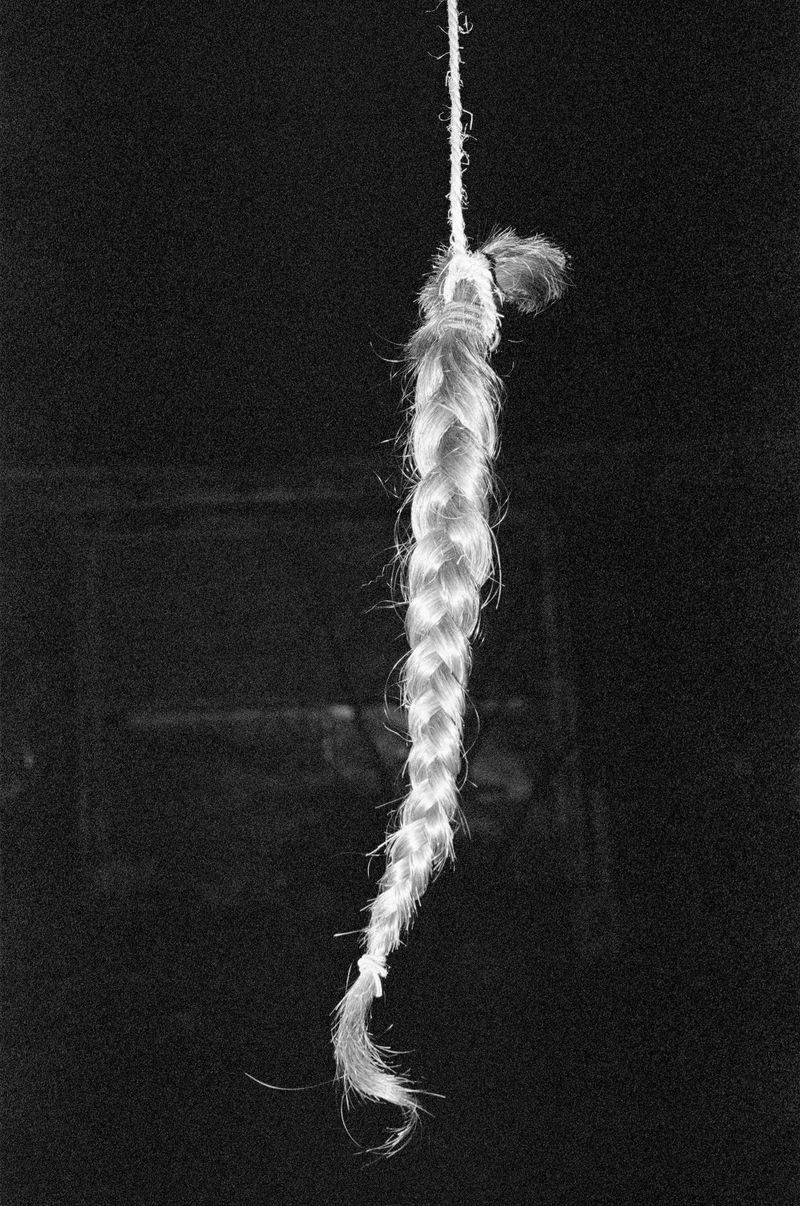 © Giulia Thinnes - Braid from my hair