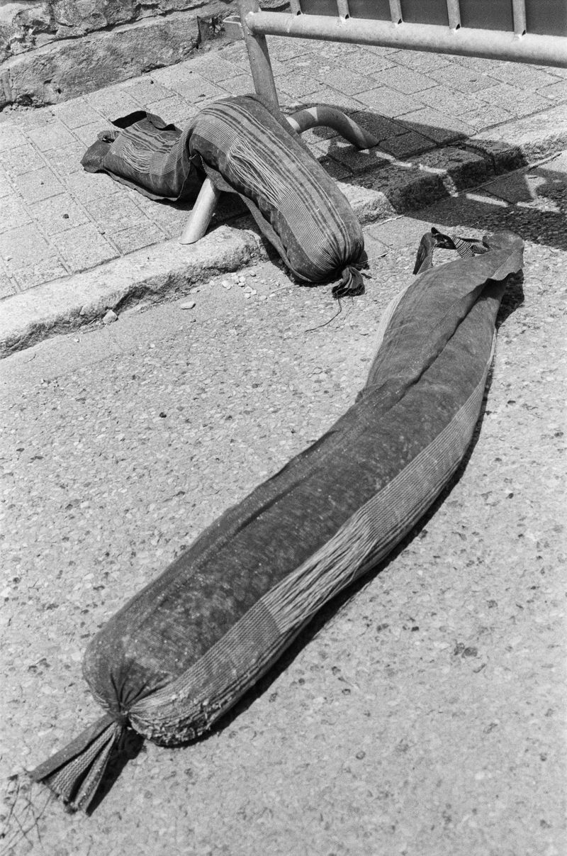 © Giulia Thinnes - worms