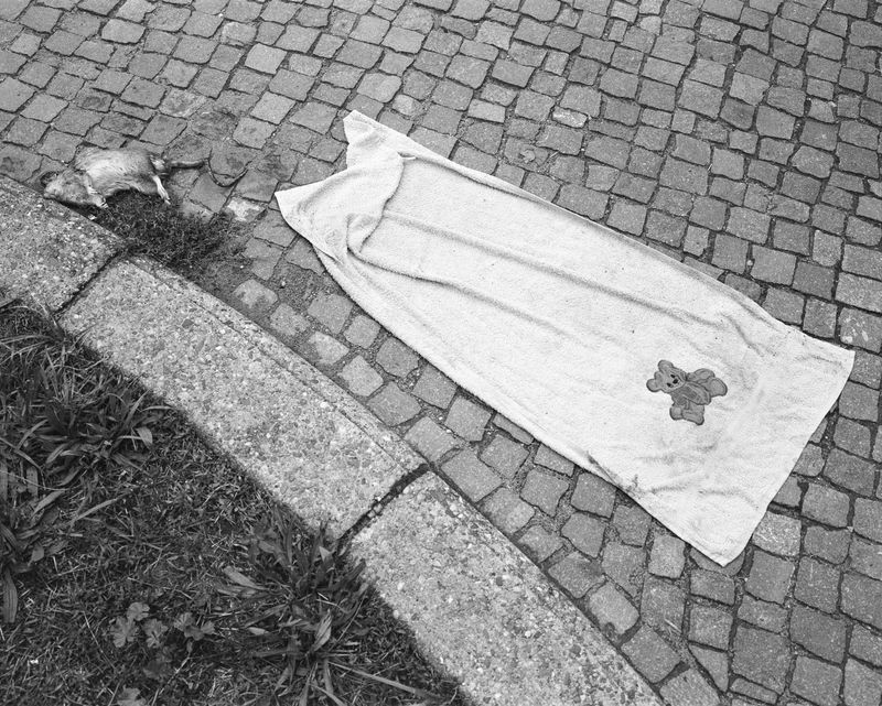 © Giulia Thinnes - found objects