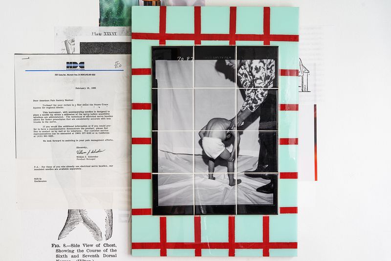 © Rachel Fein-Smolinski - Image from the Sex Lives of Animals without Backbones photography project