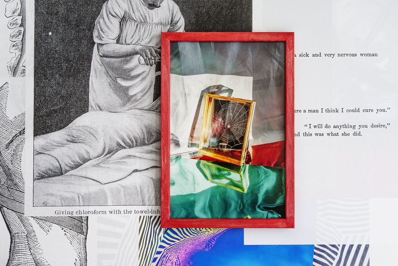 © Rachel Fein-Smolinski - Image from the Sex Lives of Animals without Backbones photography project