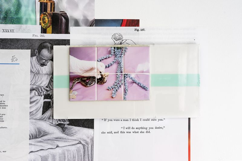 © Rachel Fein-Smolinski - Dissection of a Frog, 2017 Dye sublimation print on ceramic tiles, grout, resin.
