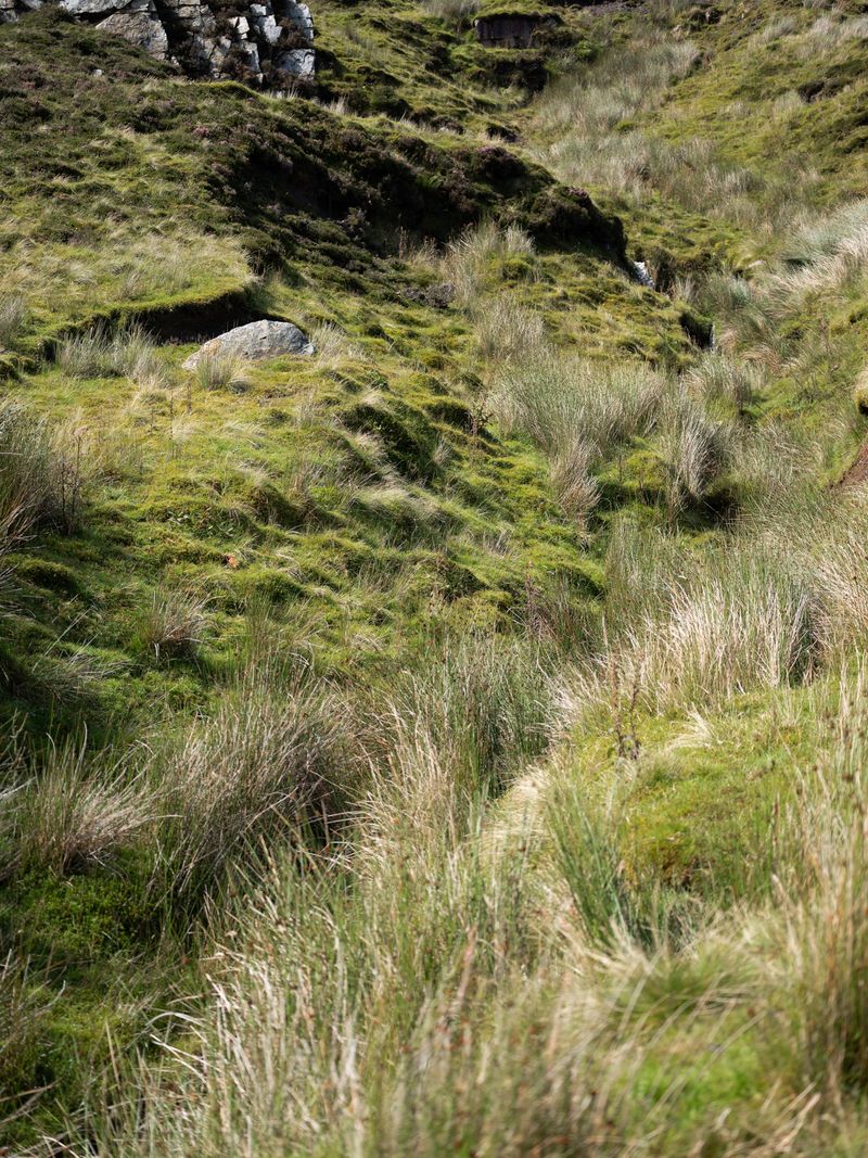©   - Sliabh an Iarainn