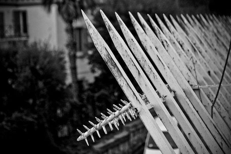 © Adelaide Di Nunzio - Image from the Architetture Criminali photography project