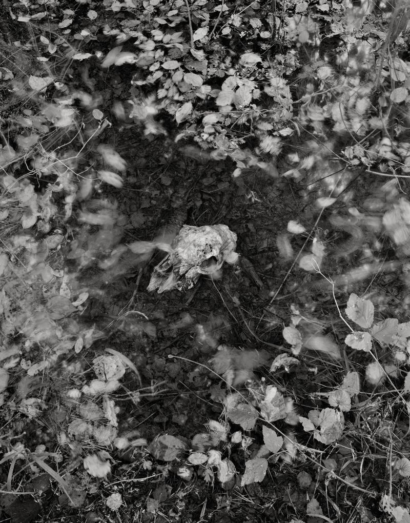 © Andreas Frei - Image from the ELDORADOSOLILOQUISTTRANSMISSIONDECODERCYCLE photography project