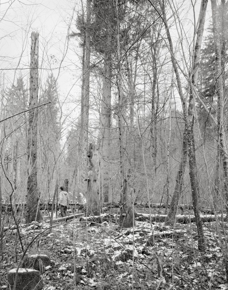 © Andreas Frei - Image from the ELDORADOSOLILOQUISTTRANSMISSIONDECODERCYCLE photography project