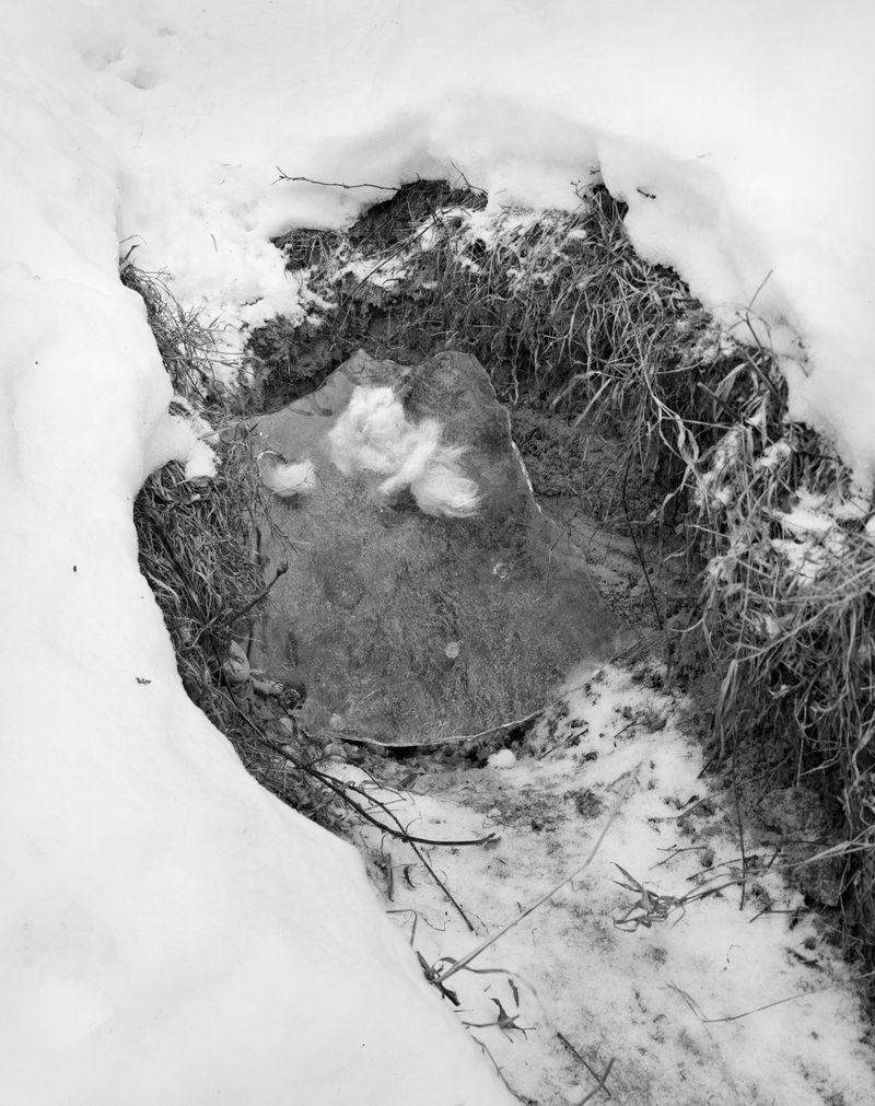 © Andreas Frei - Image from the ELDORADOSOLILOQUISTTRANSMISSIONDECODERCYCLE photography project