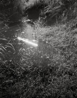 ELDORADOSOLILOQUISTTRANSMISSIONDECODERCYCLE