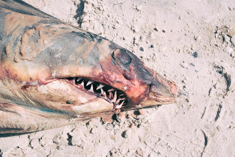 © Emmanuelle Andrianjafy - Image from the A Life by the sea photography project