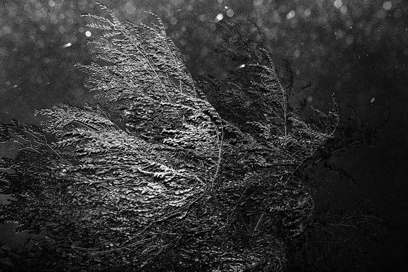 © Ali Shams - Image from the Vanishing Point photography project