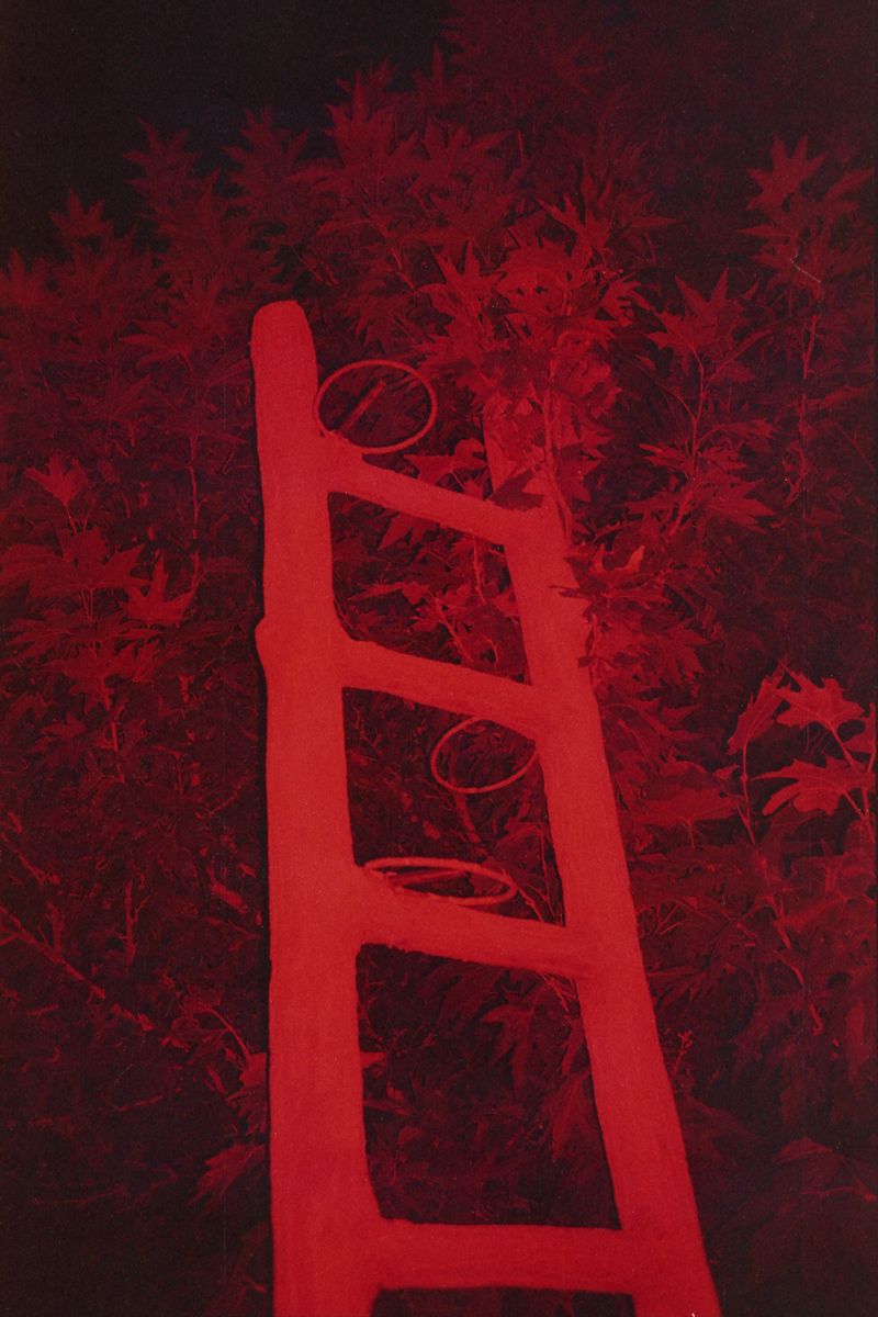 © Ali Shams - Image from the War Within photography project