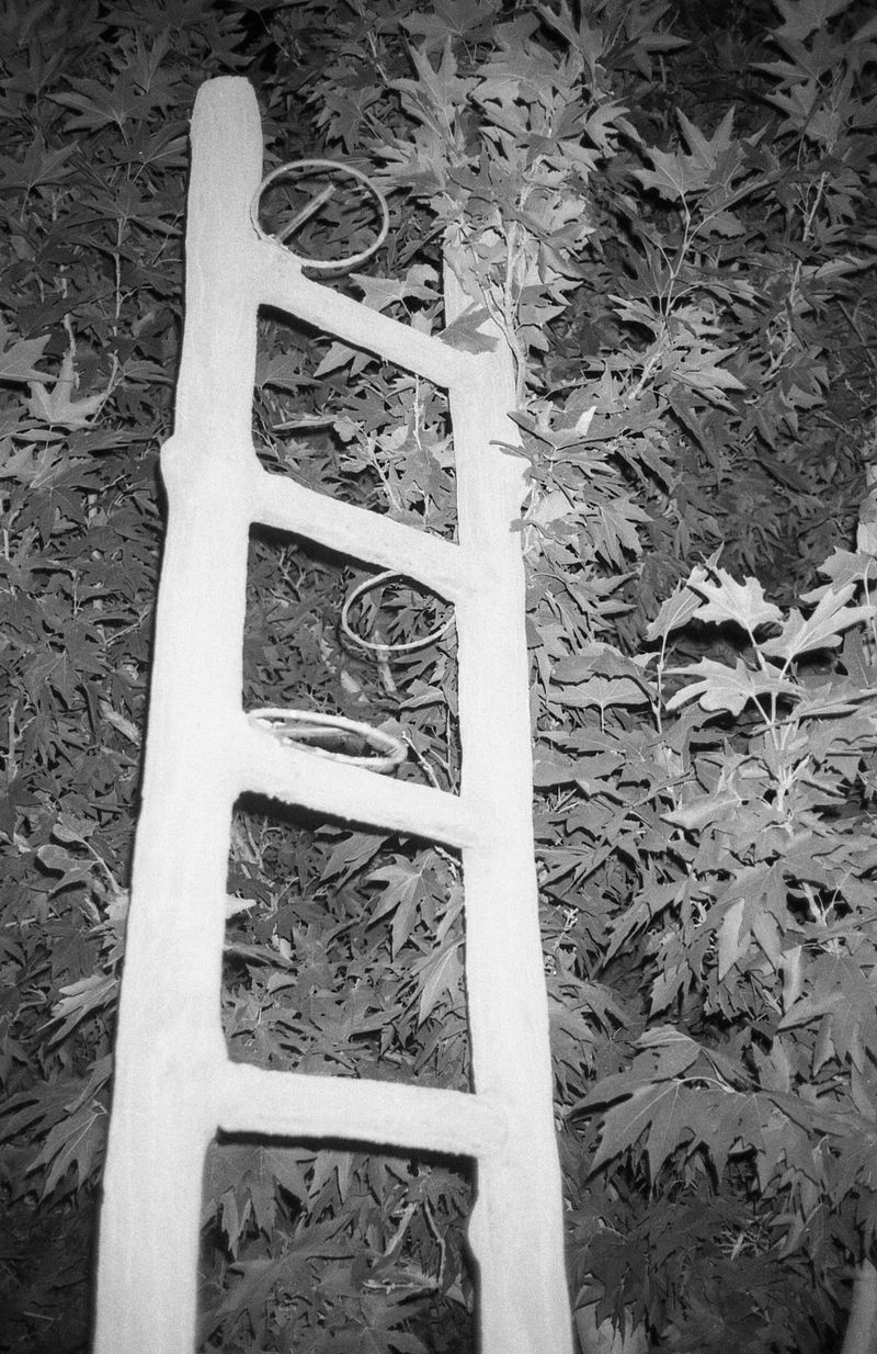 © Ali Shams - Image from the War Within photography project